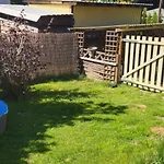 Erholung Zwischen Tier Und *