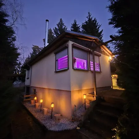 Erholung Zwischen Tier Und