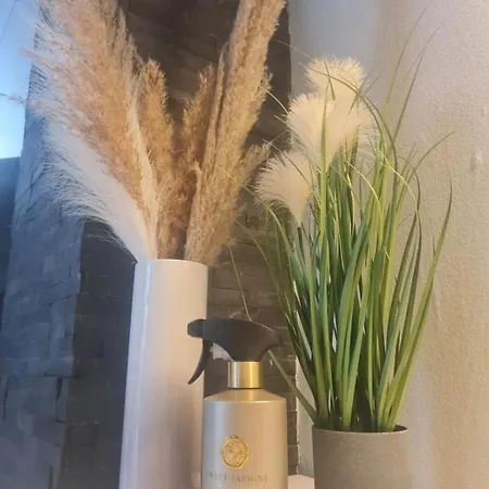 Erholung Zwischen Tier Und