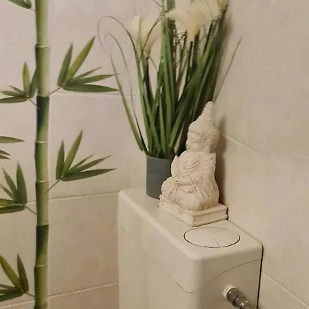 Erholung Zwischen Tier Und