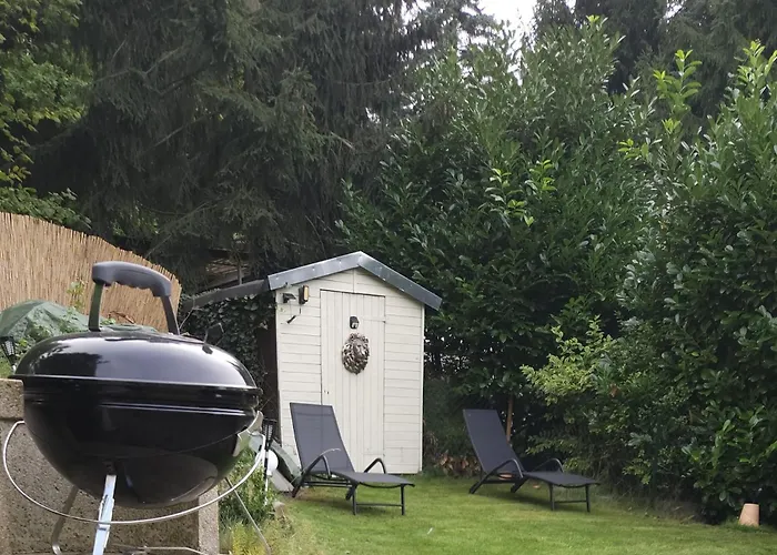 Erholung Zwischen Tier Und *