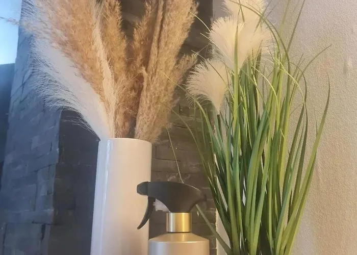 Erholung Zwischen Tier Und