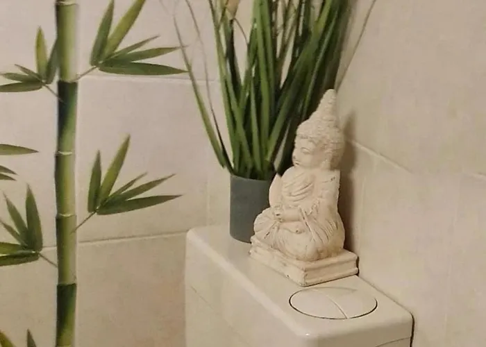 Erholung Zwischen Tier Und